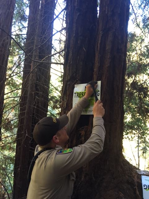 Homeless Camp Operation 9/29/2016